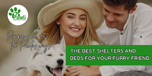 THE BEST SHELTERS AND BEDS FOR YOUR FURRY FRIEND