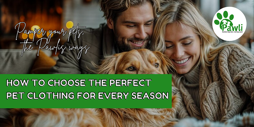 HOW TO CHOOSE THE PERFECT PET CLOTHING FOR EVERY SEASON