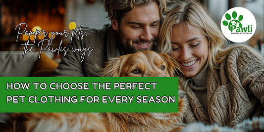 HOW TO CHOOSE THE PERFECT PET CLOTHING FOR EVERY SEASON