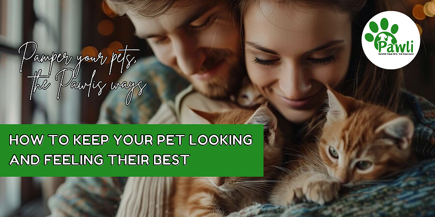 HOW TO KEEP YOUR PET LOOKING AND FEELING THEIR BEST