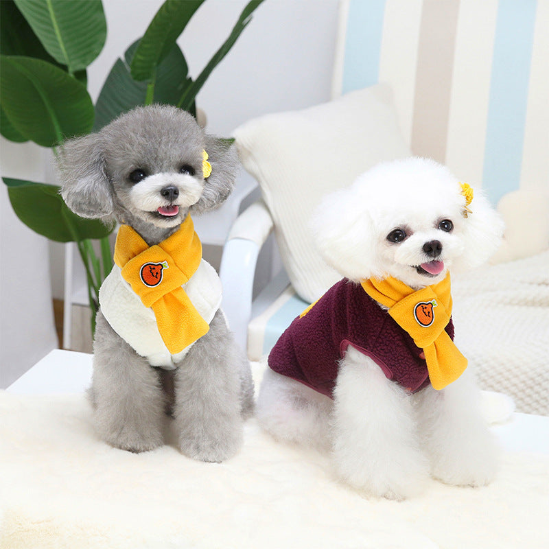 Complimentary Scarf Pet Clothes Teddy No Pear Down Jacket