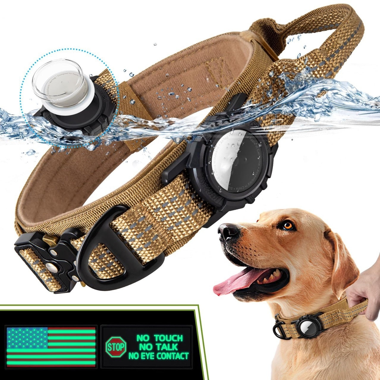 Trendy pet accessories for everyday use