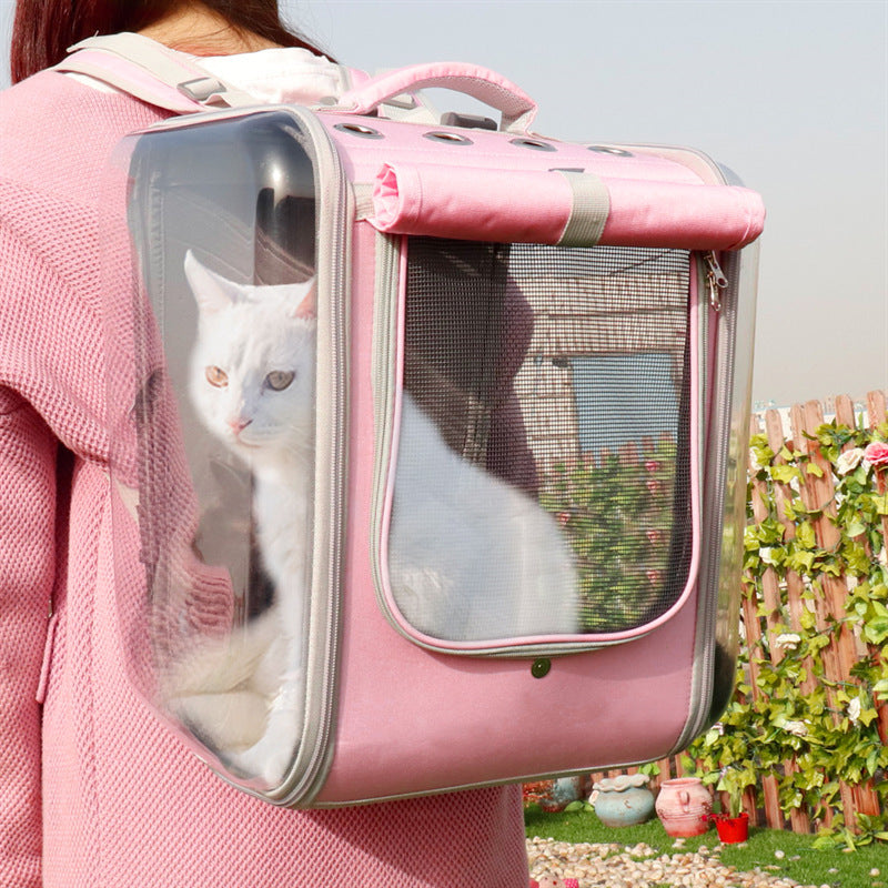 Stylish pet clothing for dogs and cats