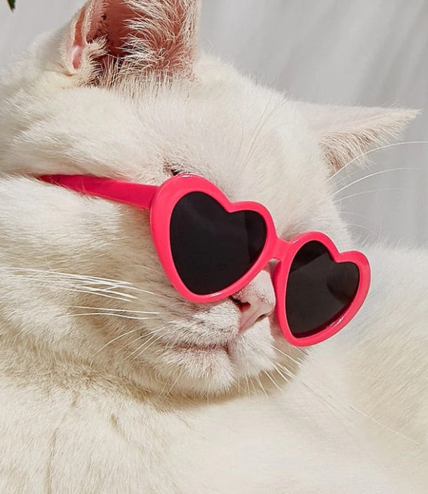 Doll Cool Glasses Pet Sunglasses For Doll Grils Small Pet Cat Toy