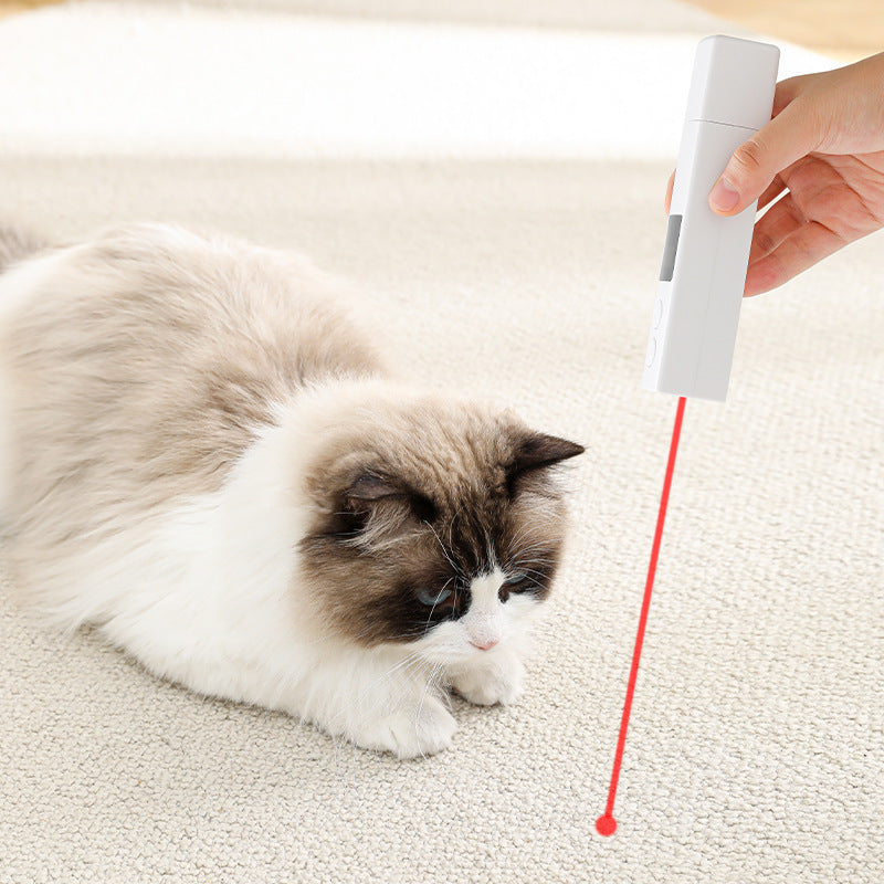 Electric Charging Dust Cover With Light Pets Nail