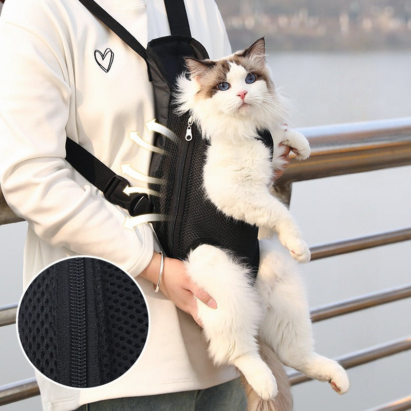 Stylish pet clothing for dogs and cats