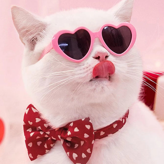 Doll Cool Glasses Pet Sunglasses For Doll Grils Small Pet Cat Toy